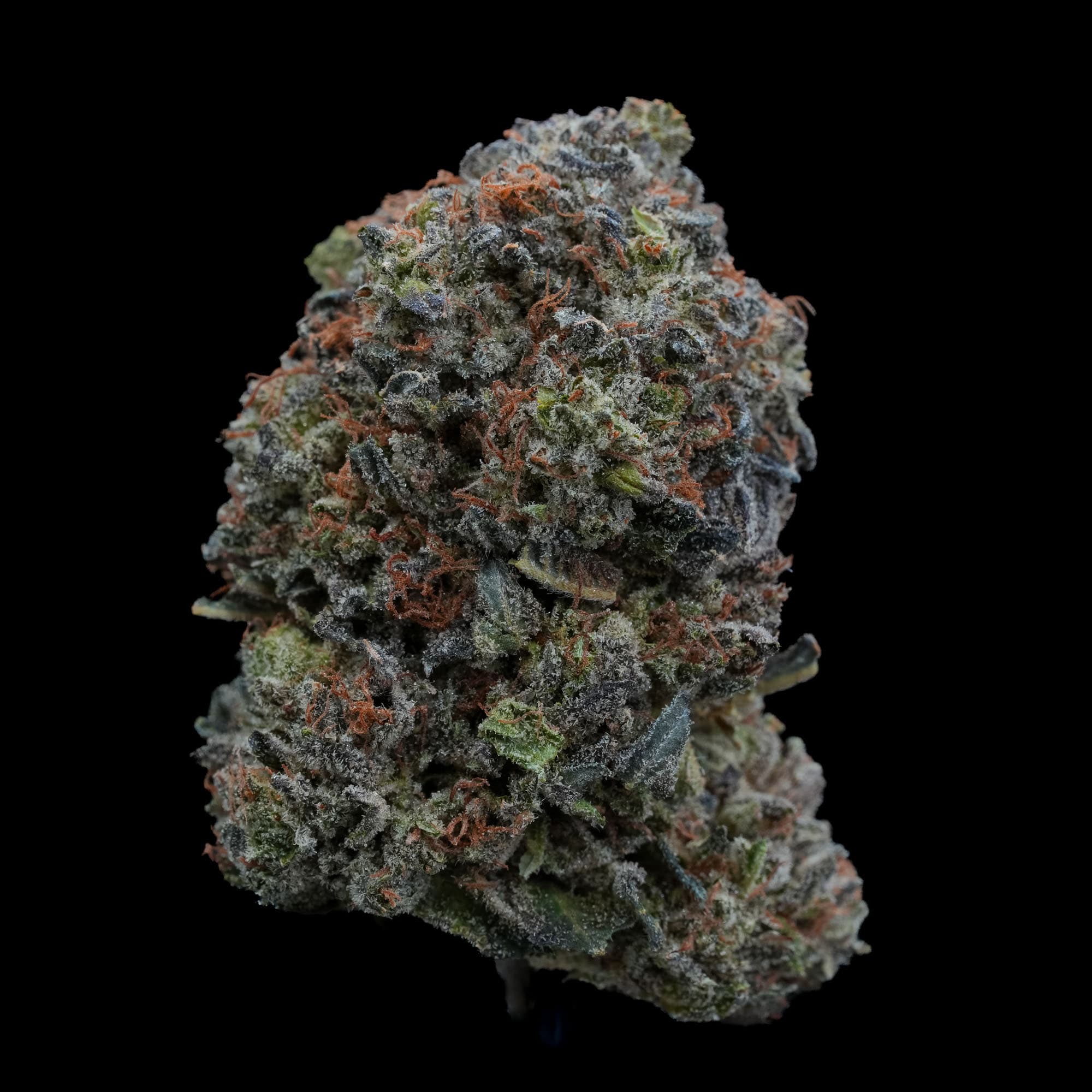 Gorilla Glue #4