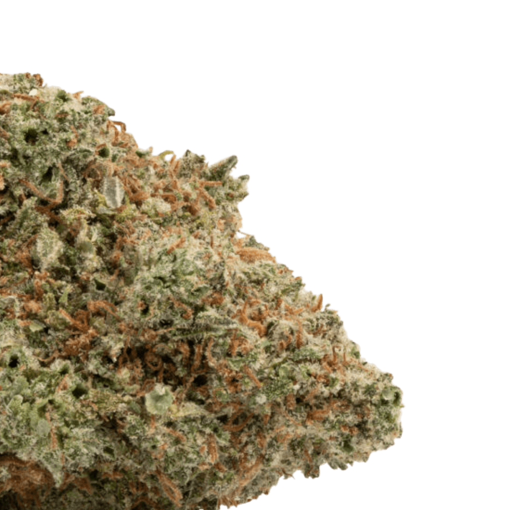 buy grease monkey online
