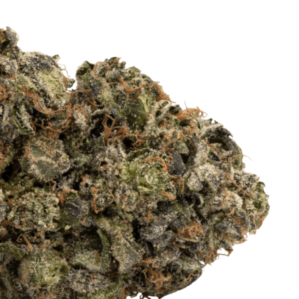 buy maui wowi online