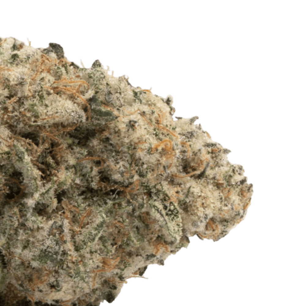 Gelato