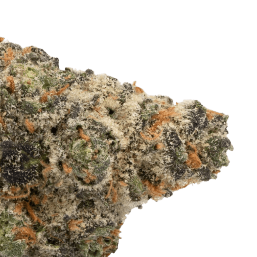 Jet Fuel