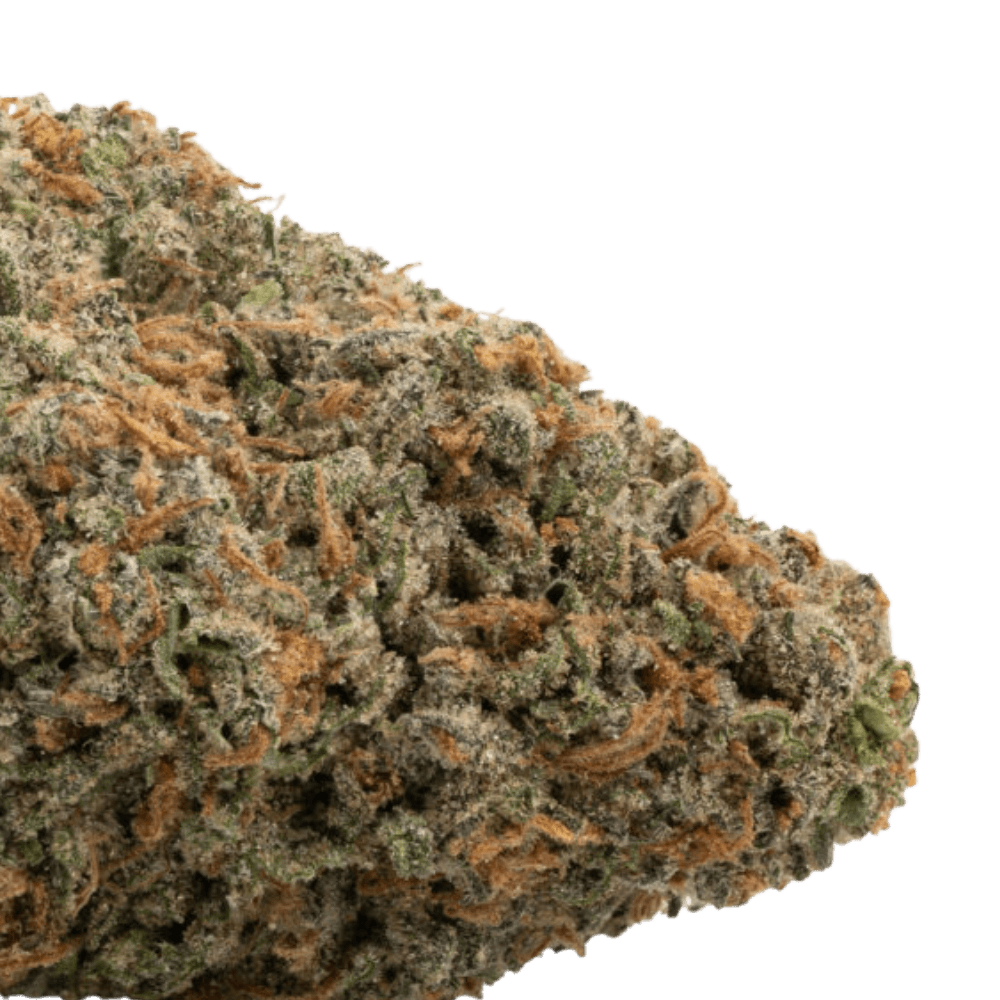 Northern Lights