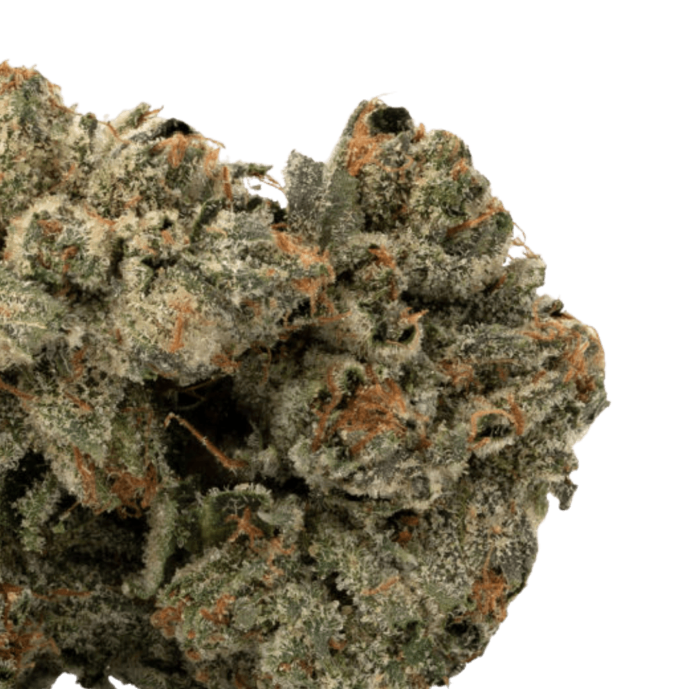 Master Kush