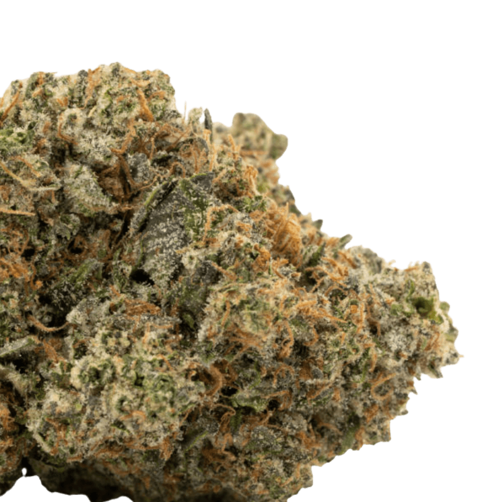 Nuken