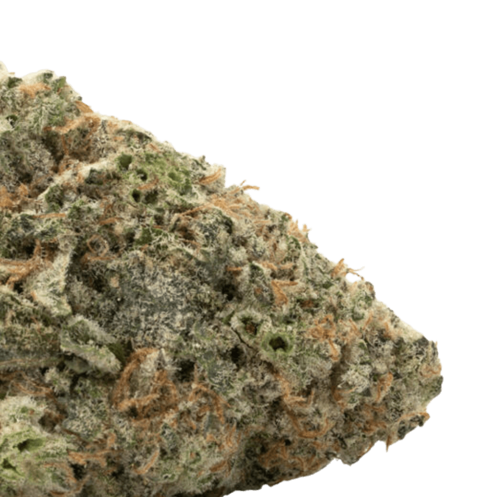Girl Scout Cookies