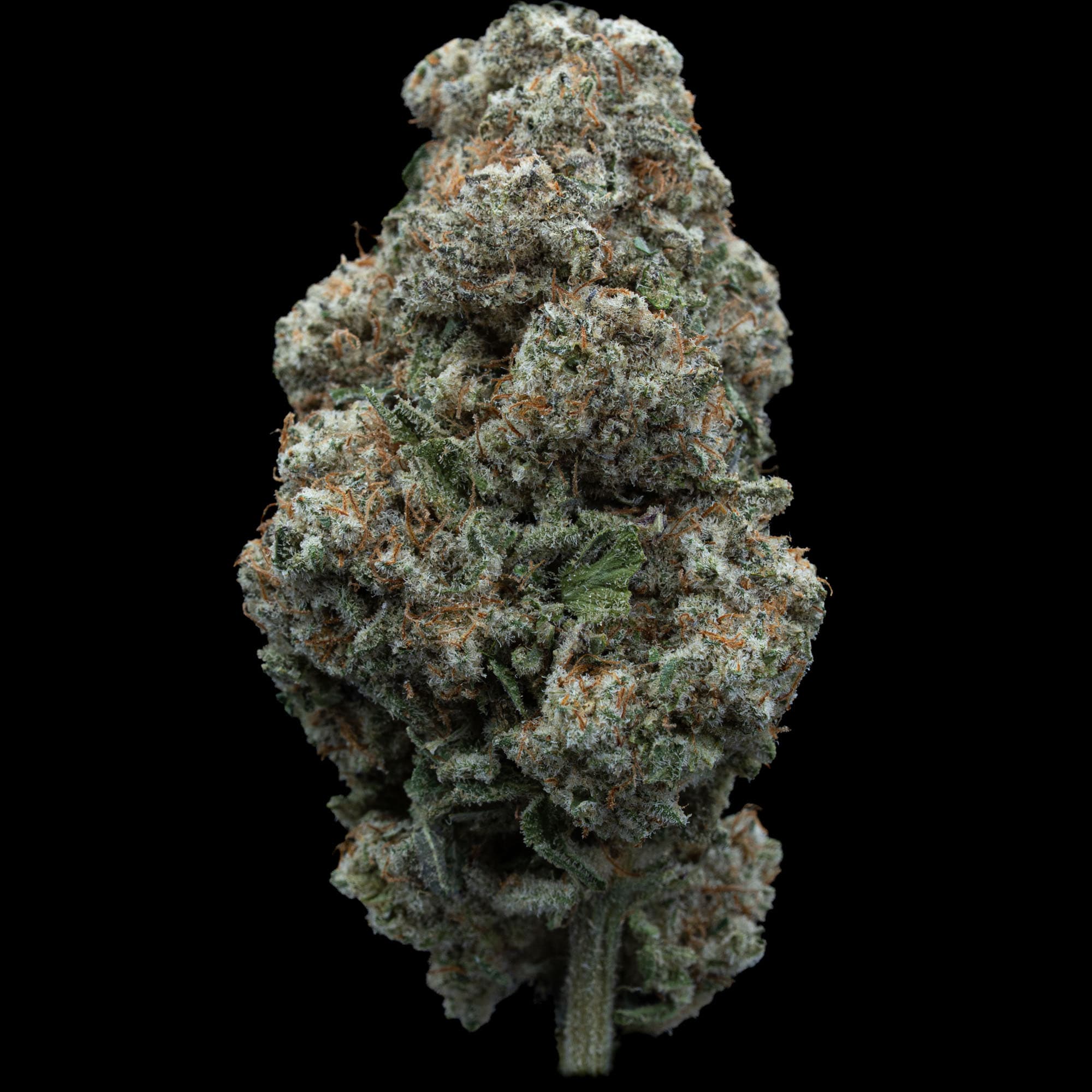 green crack strain
