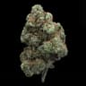 OG Kush