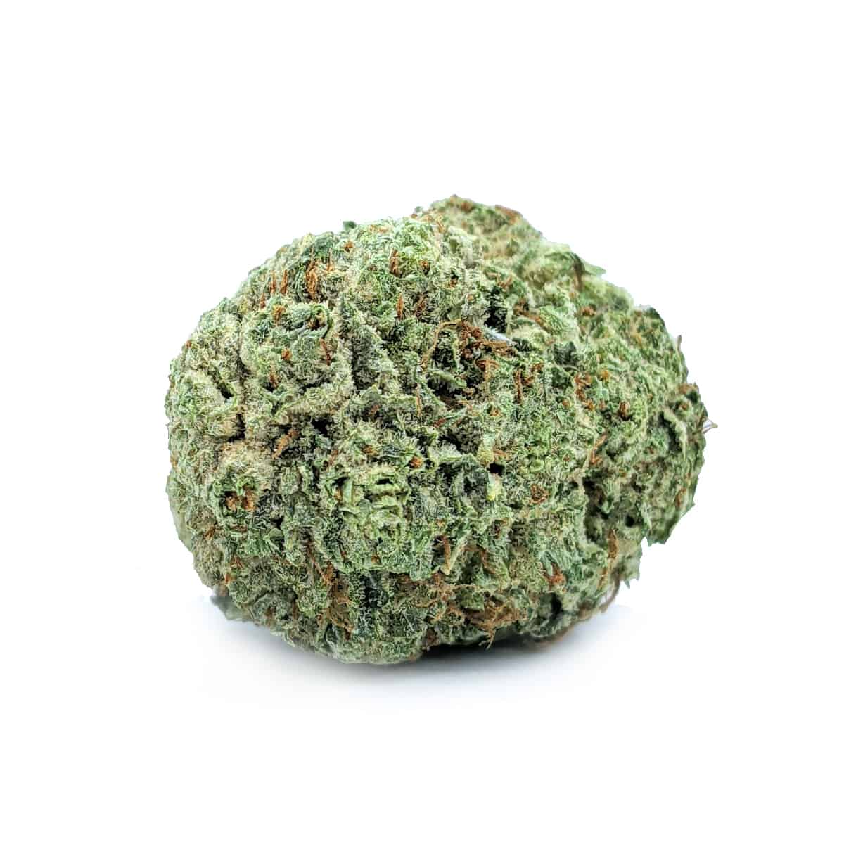 Apricot — 7g