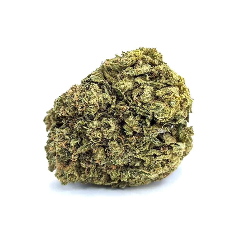 Bio Jesus — 7g