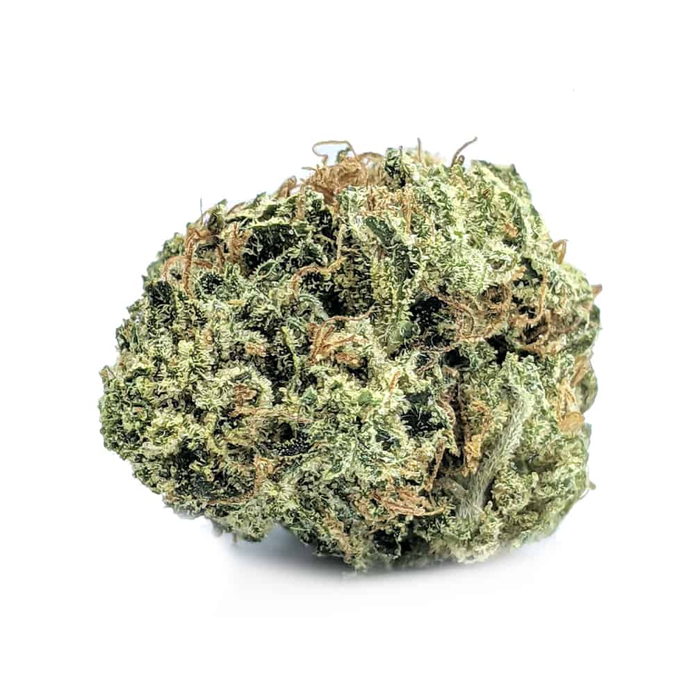 Blueberry Cheesecake — 7g