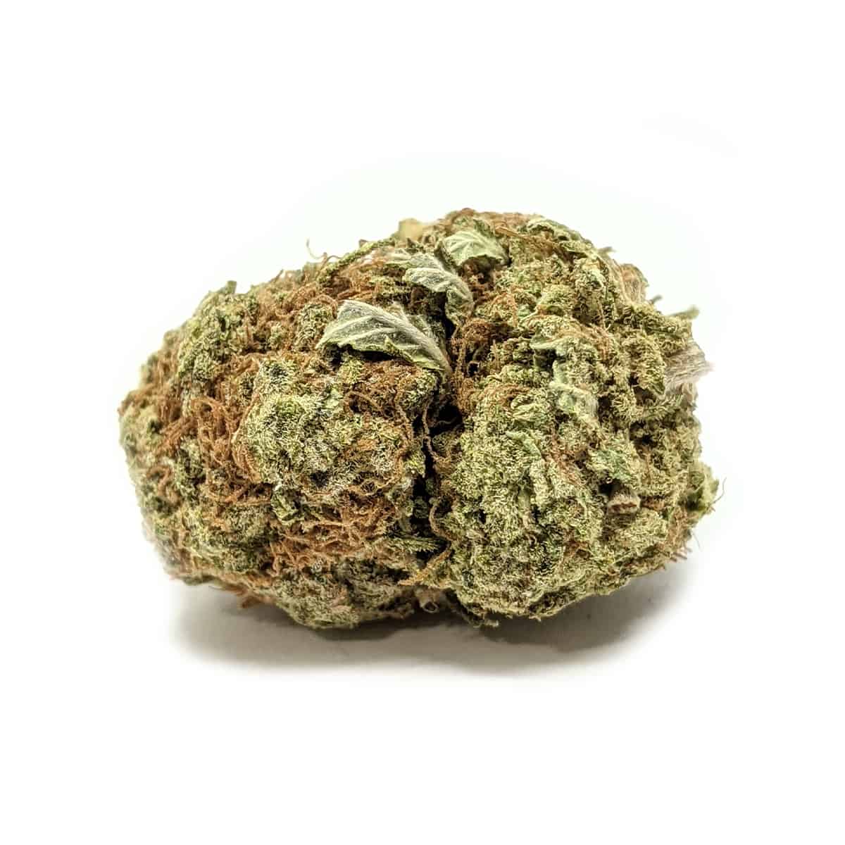 Blueberry Gum — 7g