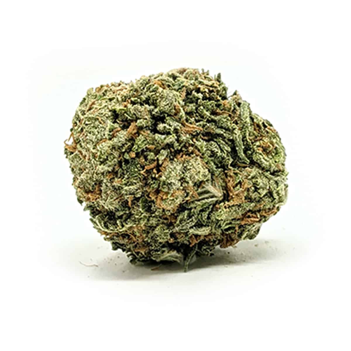 Dutch Dragon — 7g