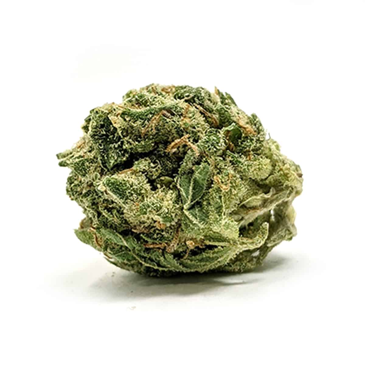 Hashplant — 7g