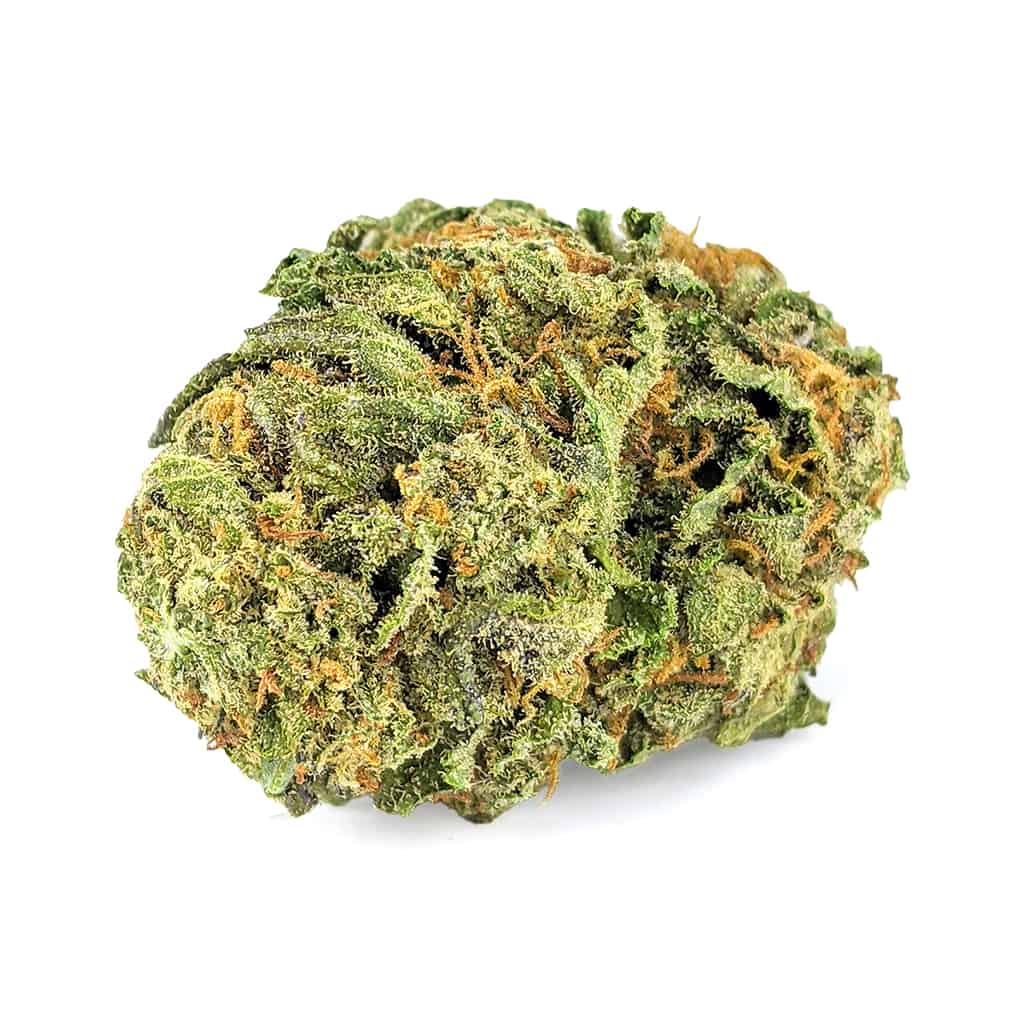 Mango Gelato — 7g