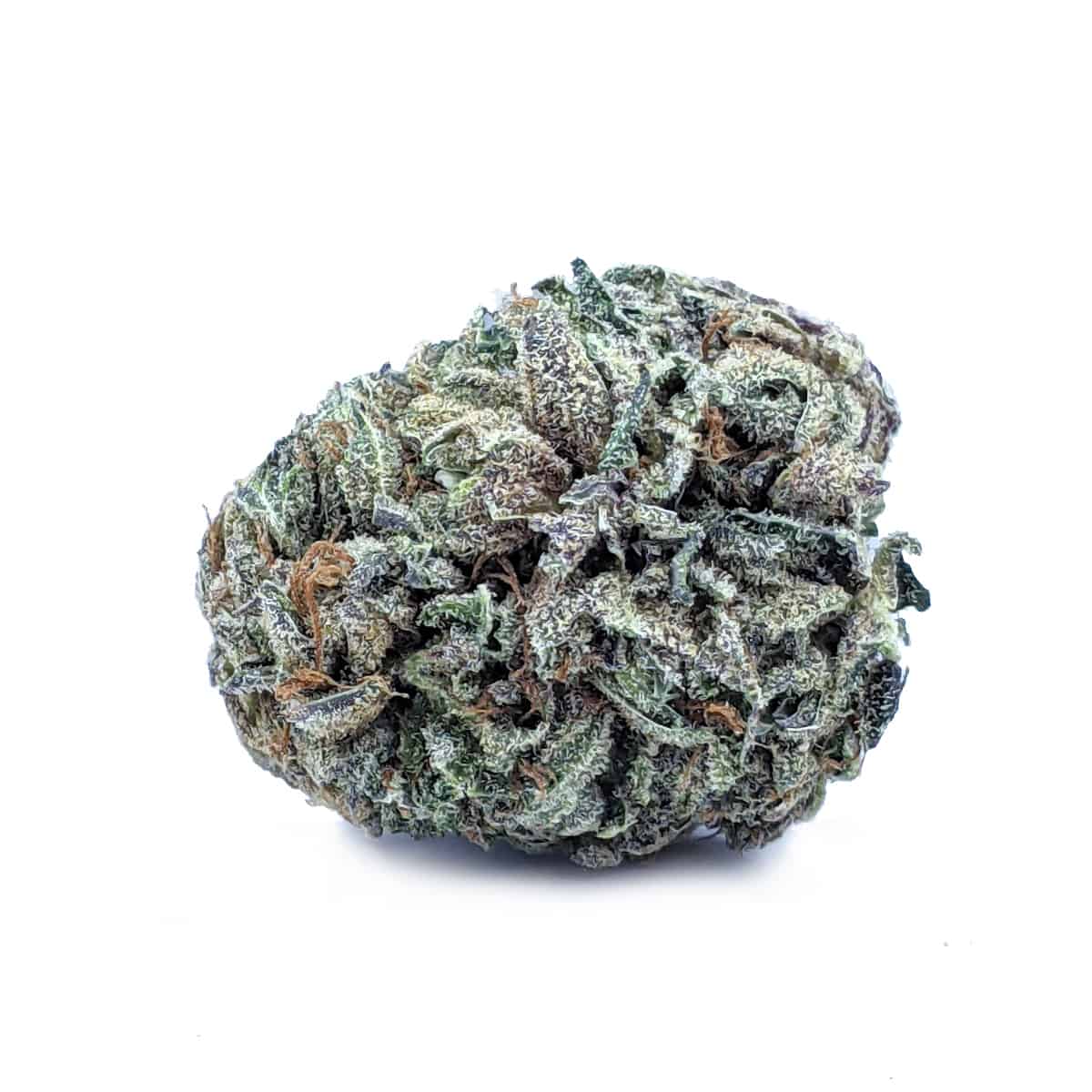 Mendo Montage — 7g