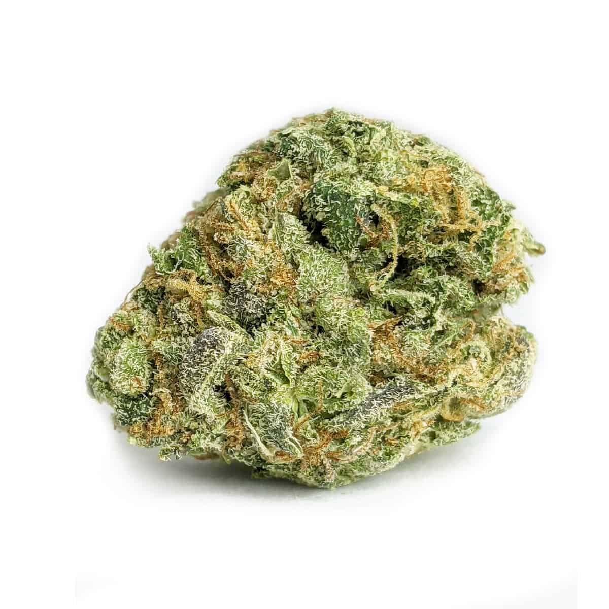 Night Queen — 7g