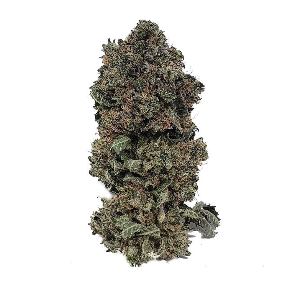 Pink Panties — 7g