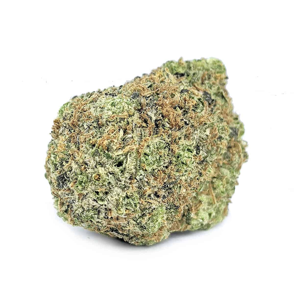 Royal Gorilla — 7g