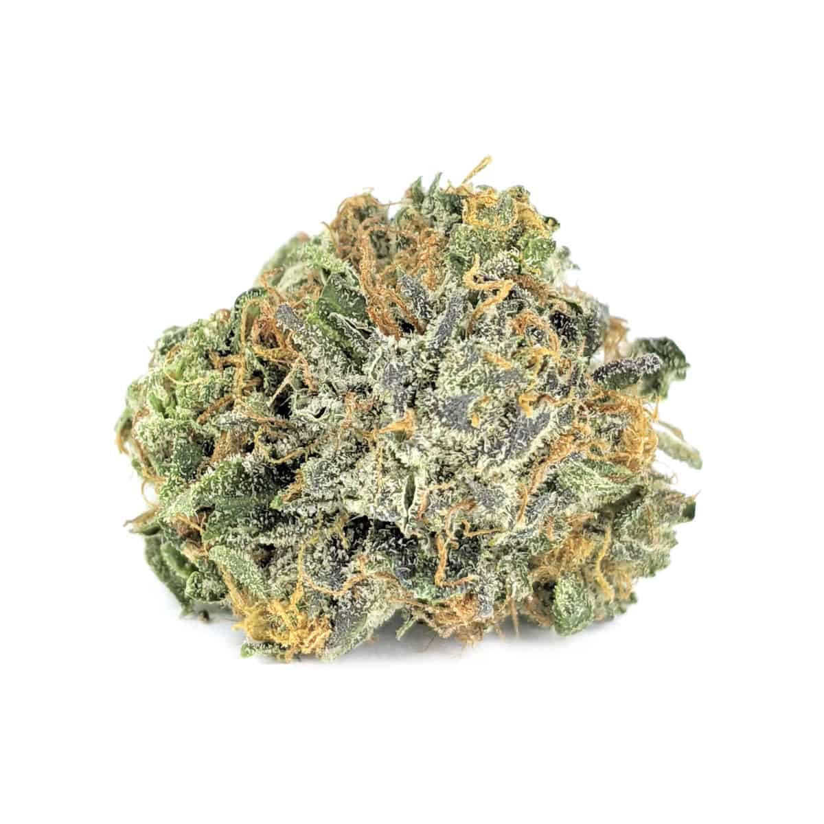 Serious Happiness — 7g
