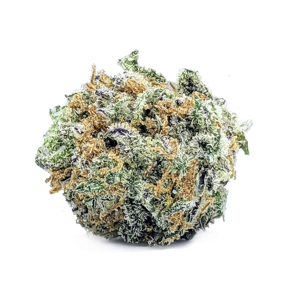 Sherb Quake — 7g