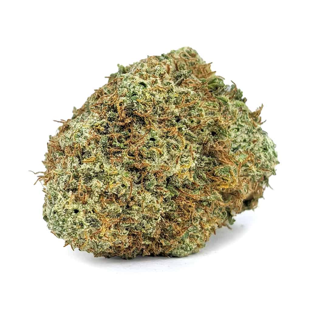 XJ-13 — 7g