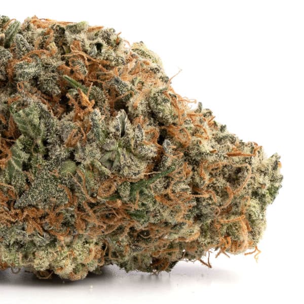 Durban Poison strain buy weed online cheap weed online dispensary mail order marijuana