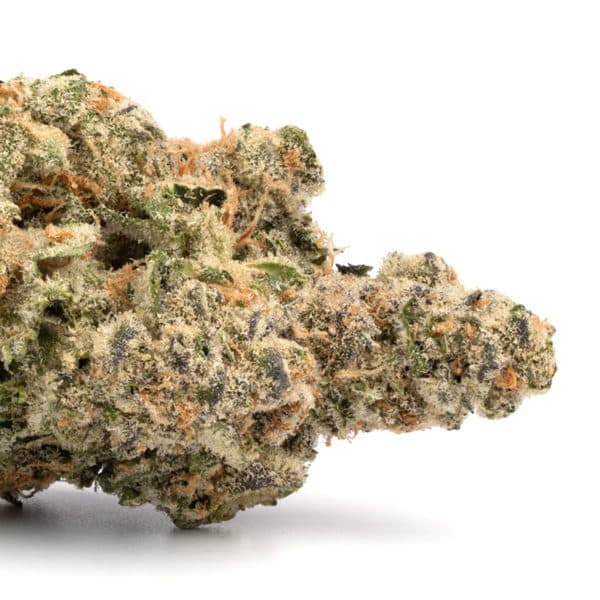 Northern Berry strain buy weed online cheap weed online dispensary mail order marijuana