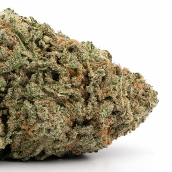 Purple Urkle strain buy weed online cheap weed online dispensary mail order marijuana