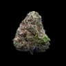 Northern Lights