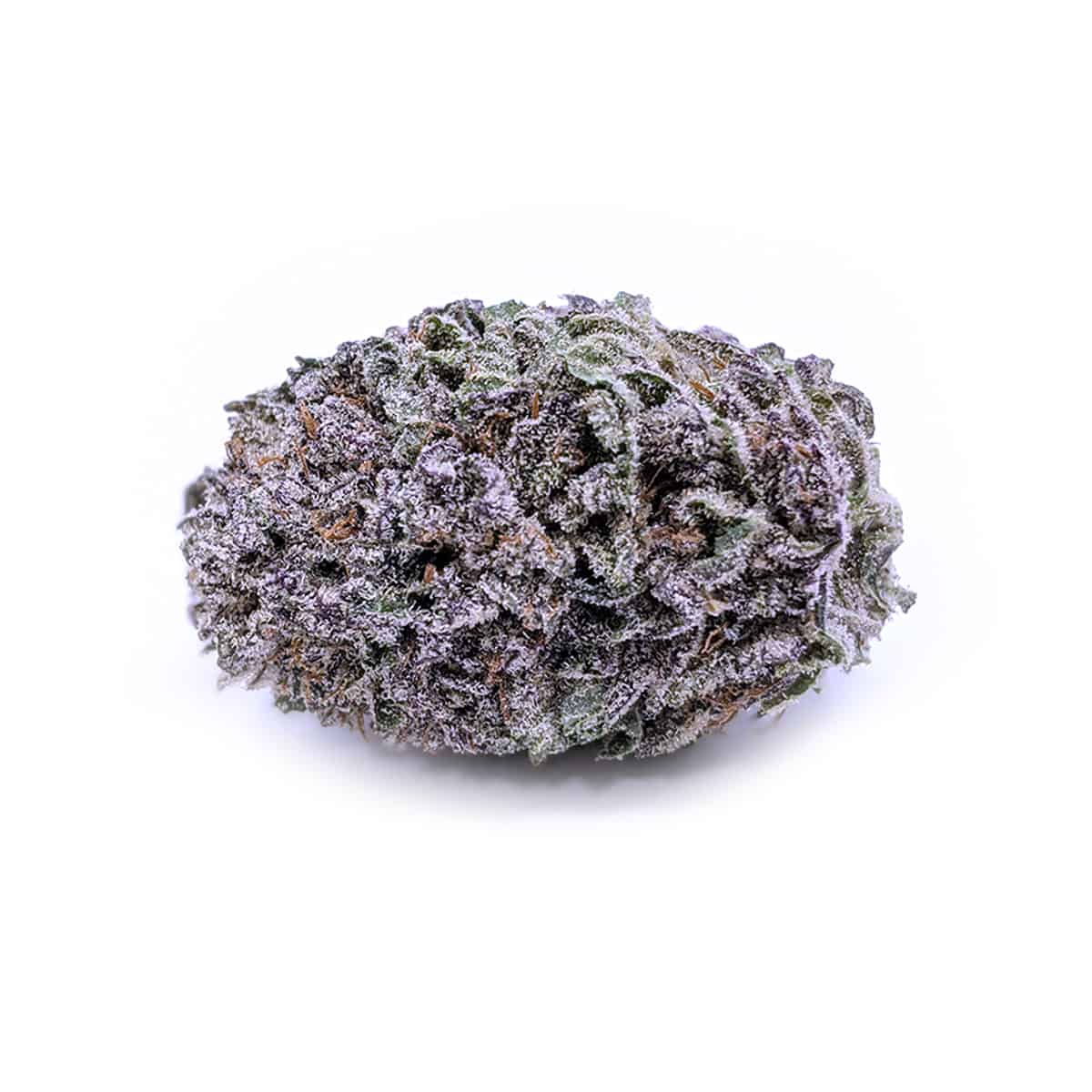 Animal Cookies — 7g
