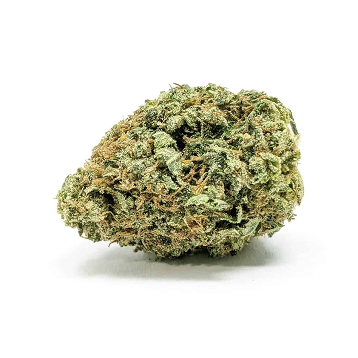 Black Domina — 7g