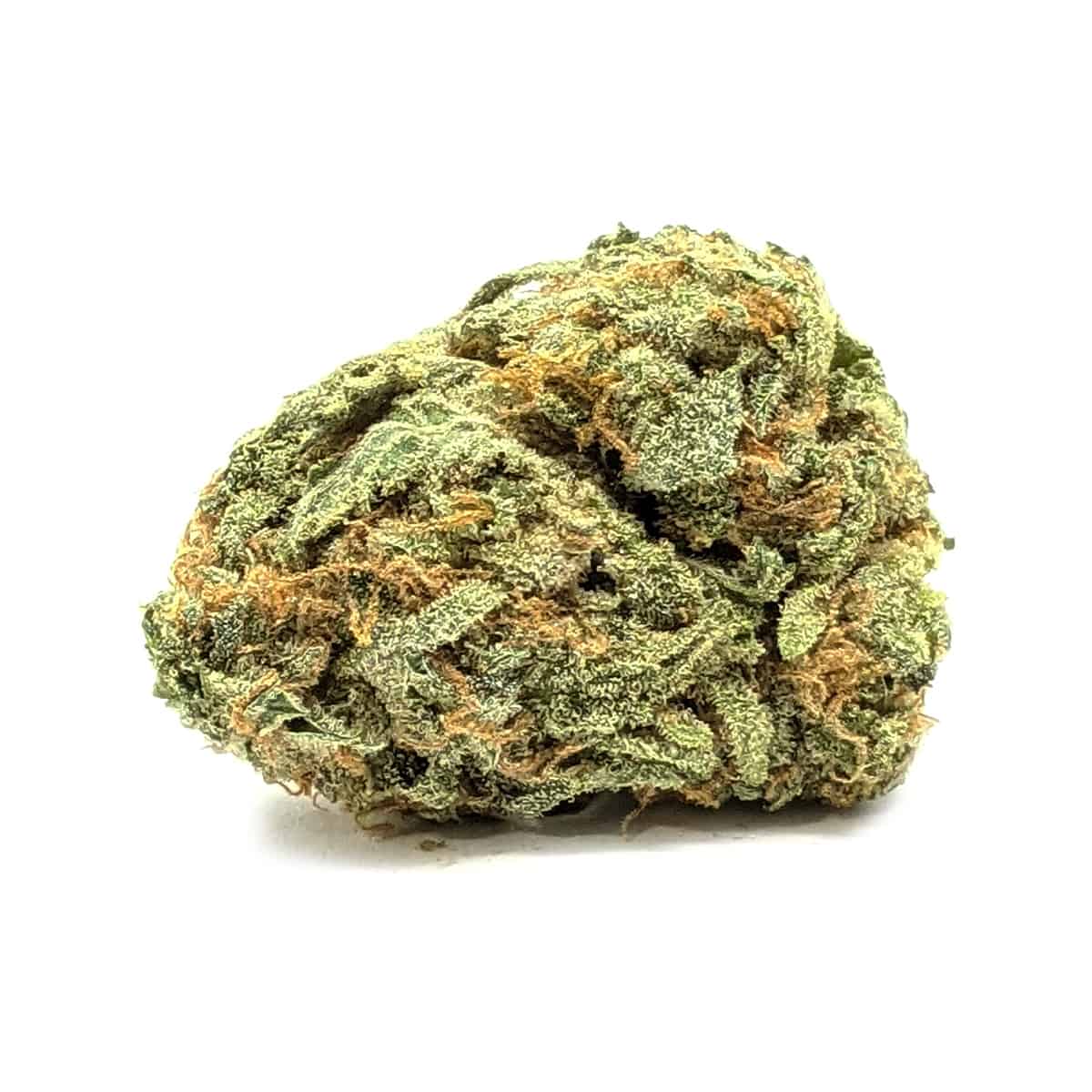 Chocolope — 7g