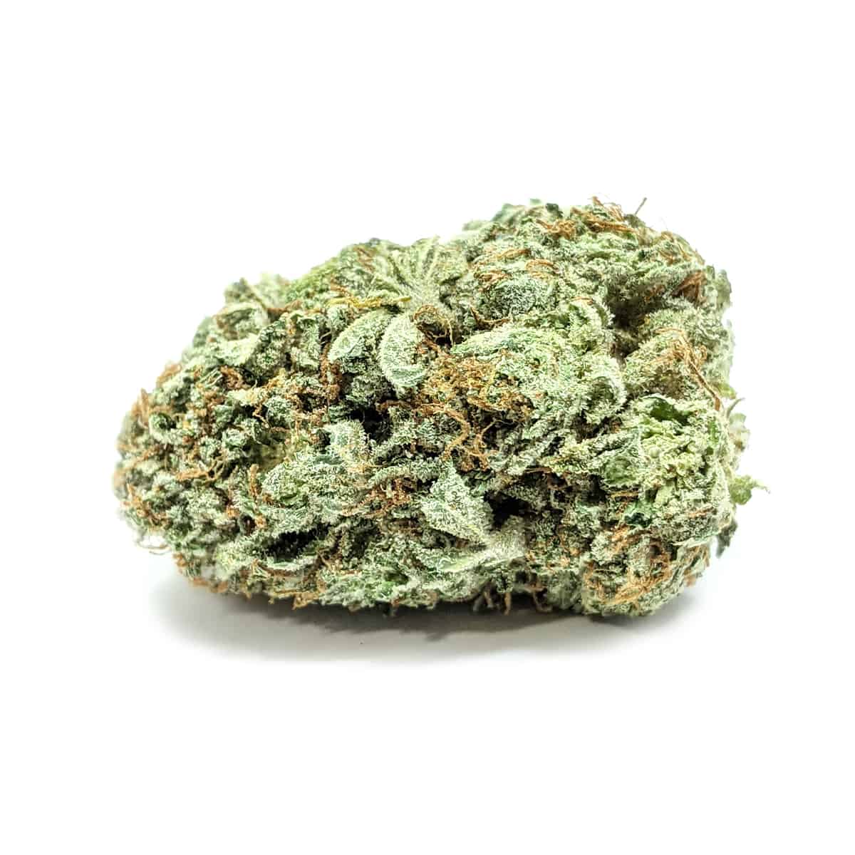Comatose — 7g