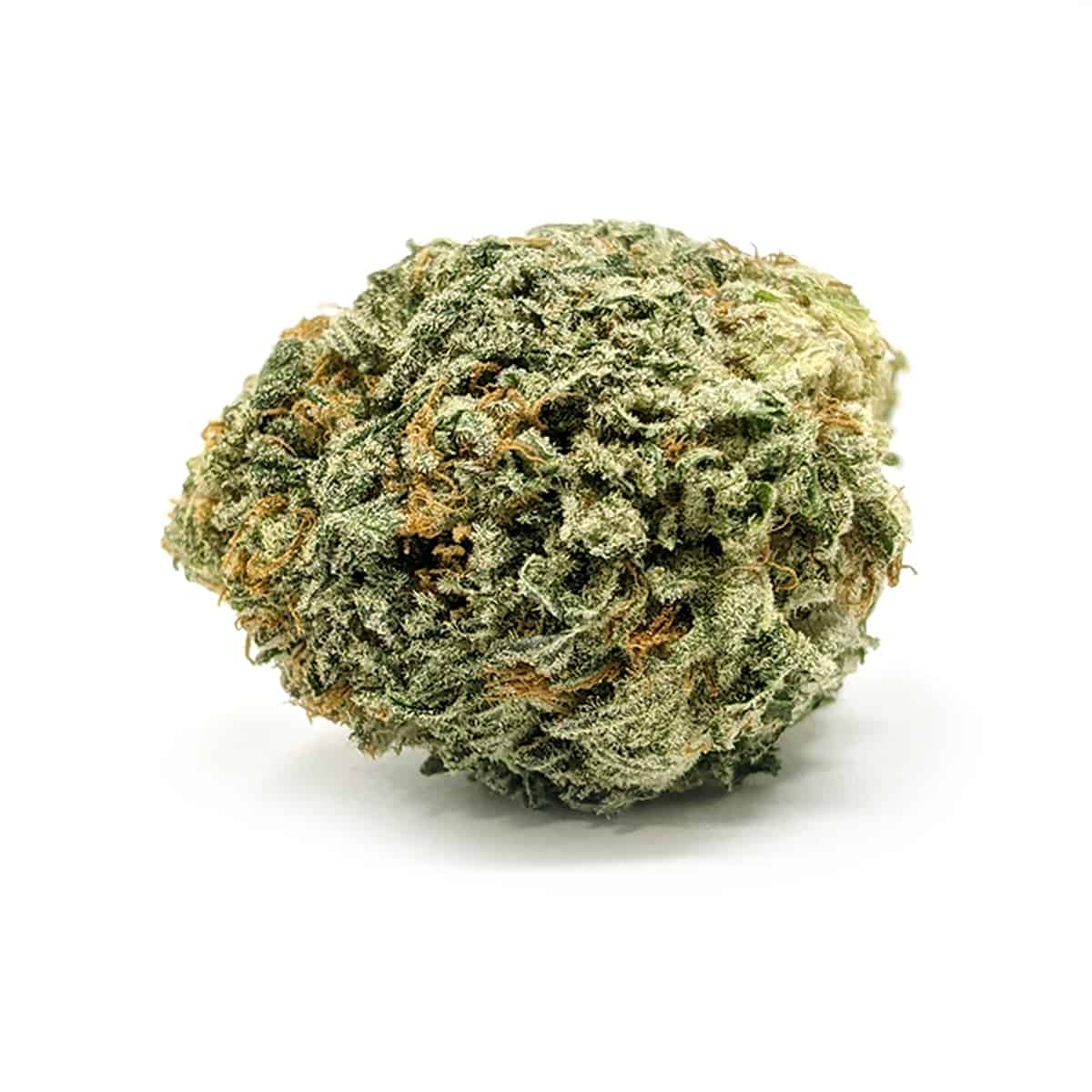 Exodus Cheese — 7g