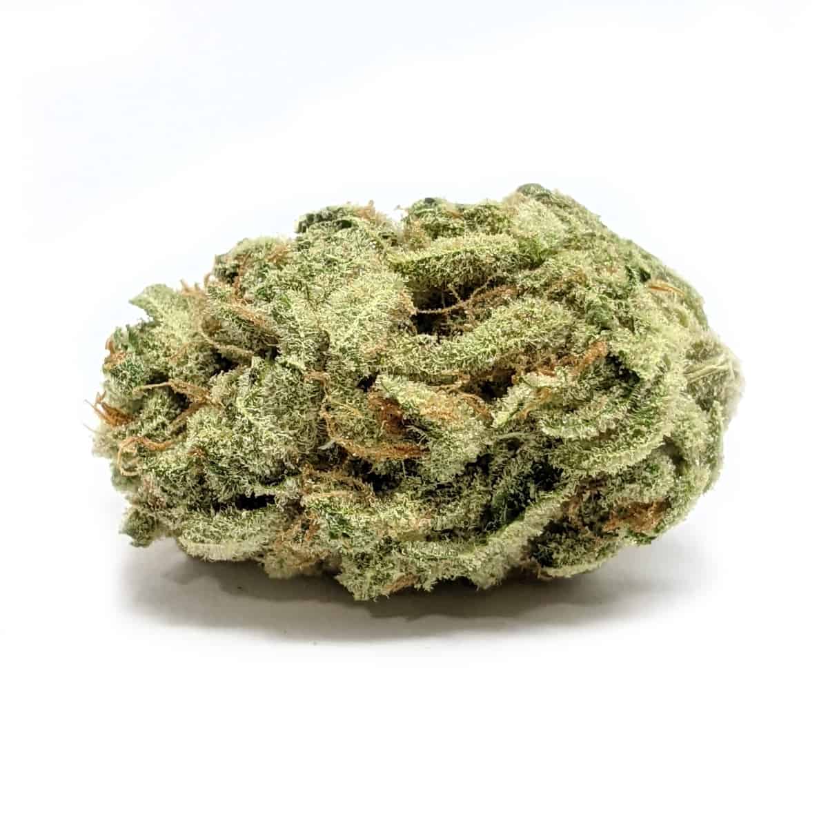 GMO — 7g