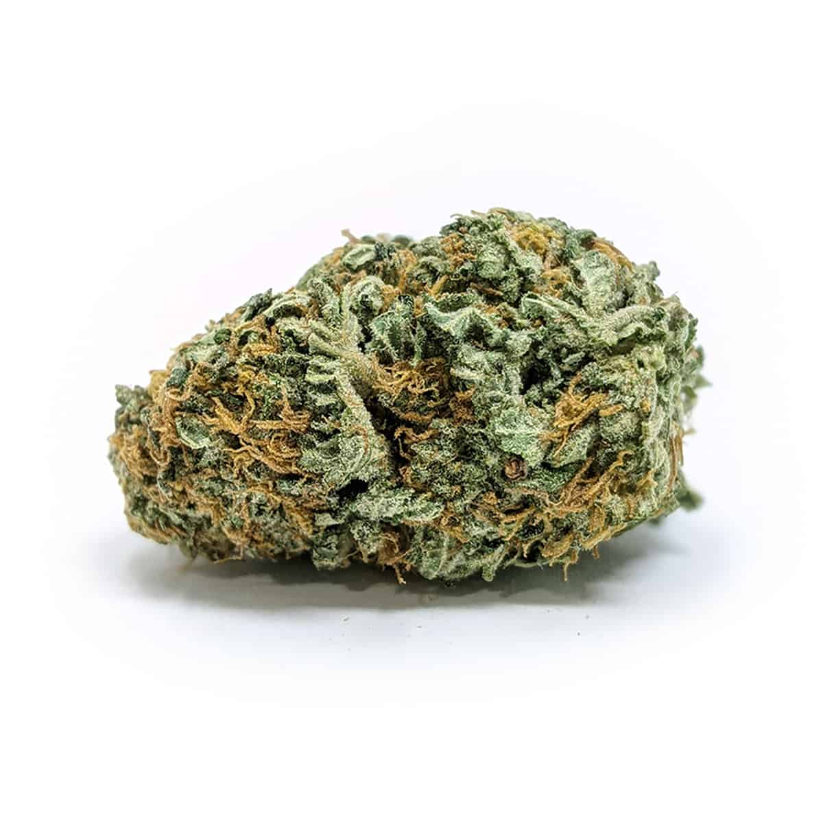 Gelato Cake — 7g