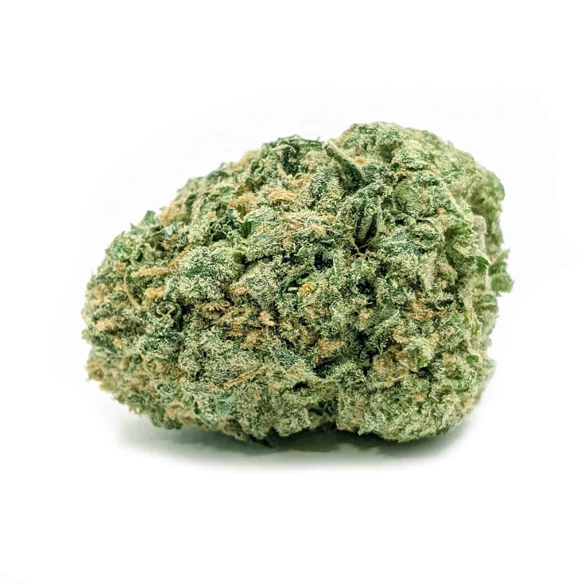 God — 7g