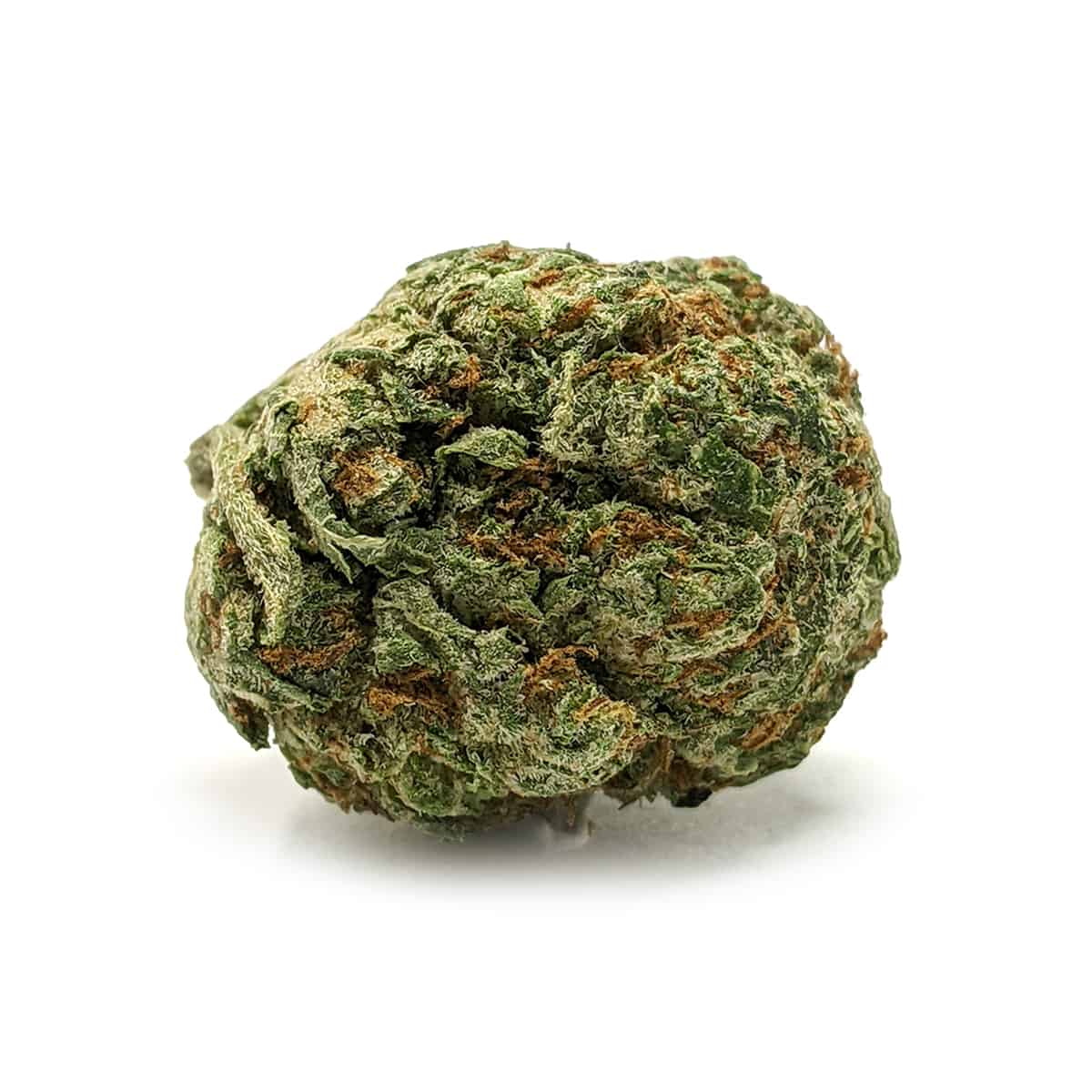 Holy Grail — 7g