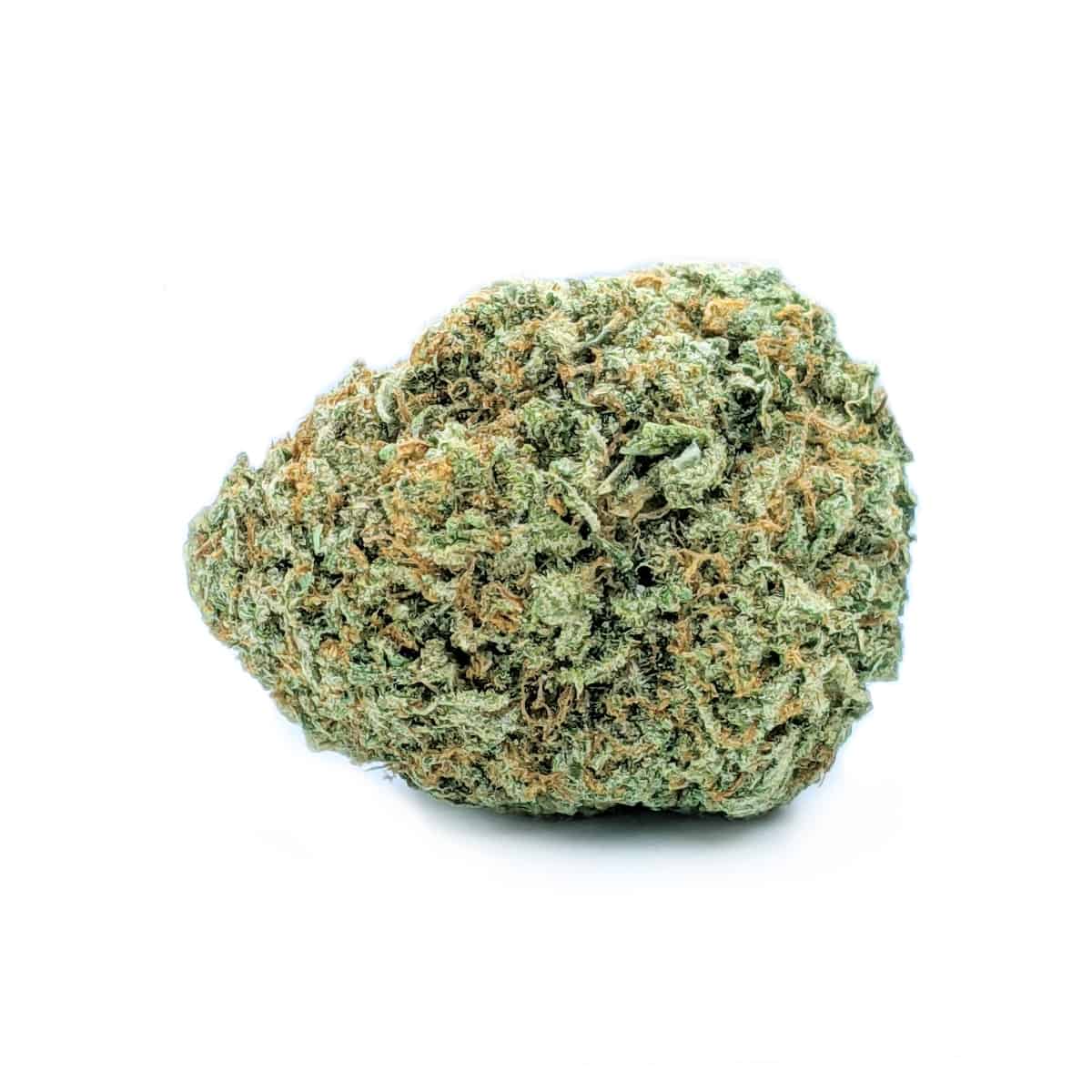 Moby Dick — 7g