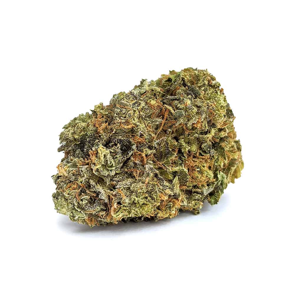 Night Nurse — 7g