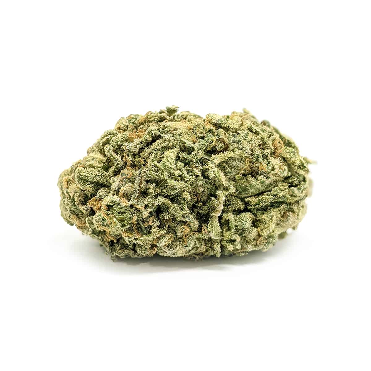 OG Shark — 7g