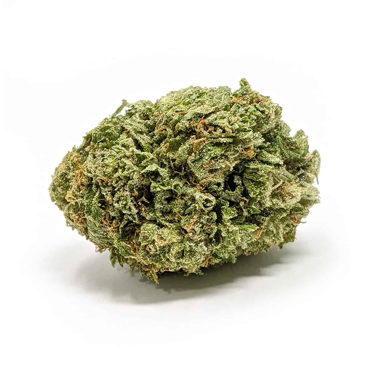 Orange Mimosa — 7g