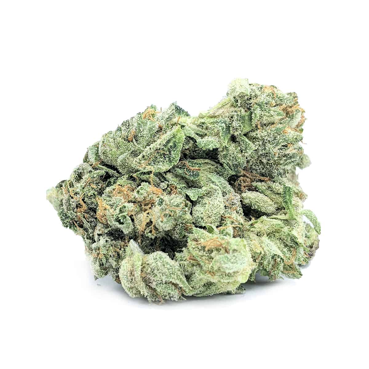 Shaman — 7g