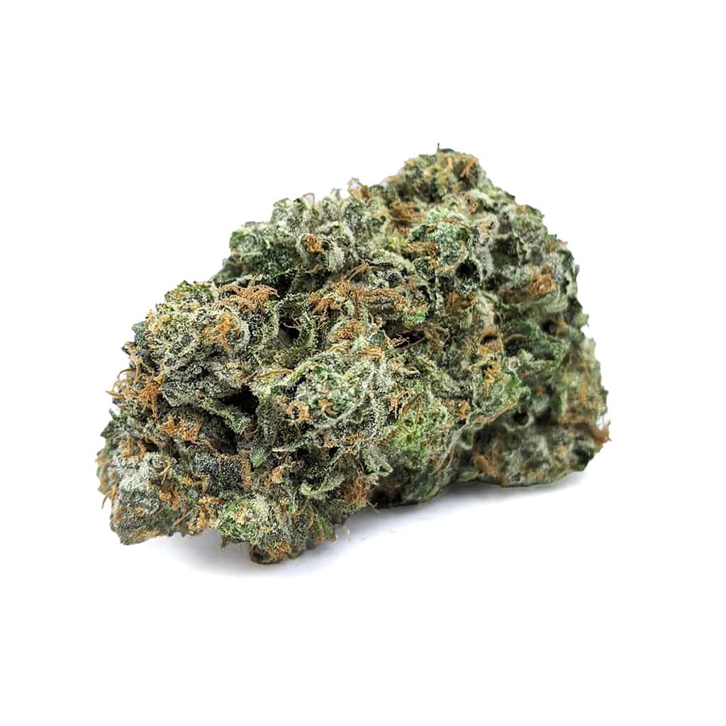 Shark Bite โ 7g