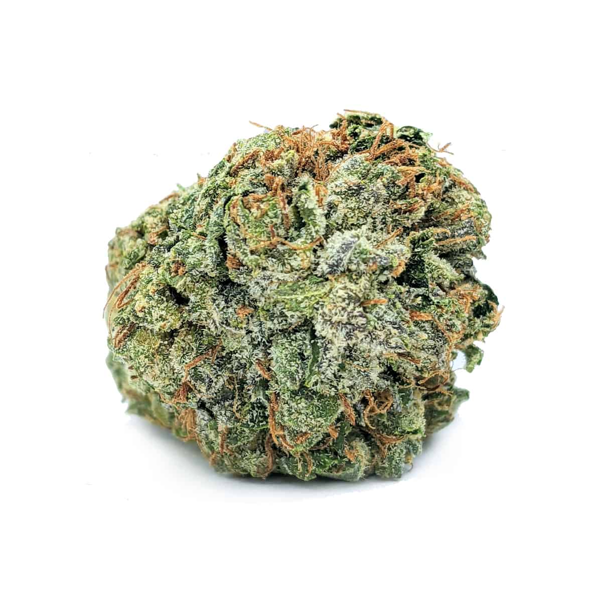Snow Lotus โ 7g