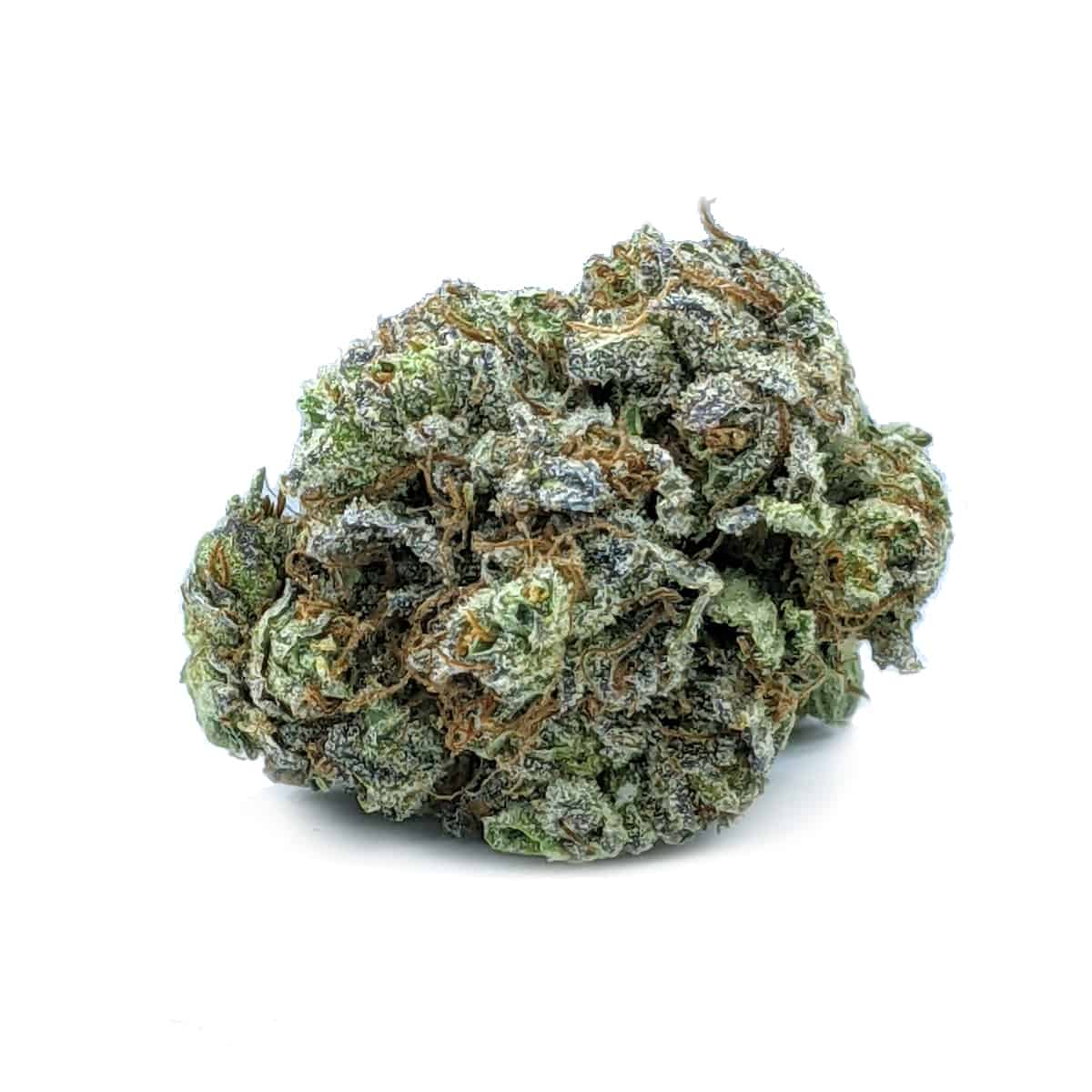 Space Queen — 7g