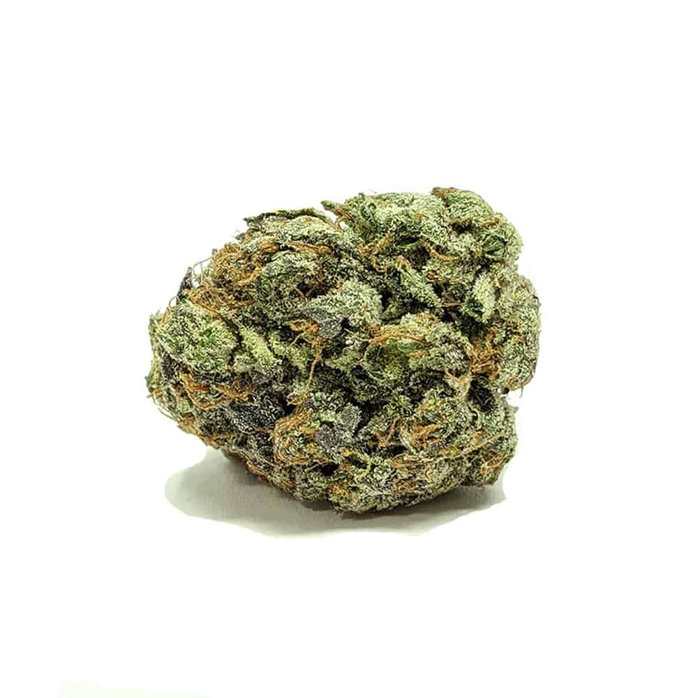 Aurora Indica — 7g