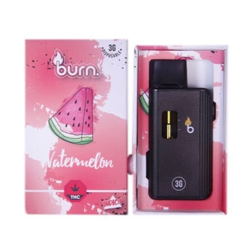 Burn 3 Grams Disposable Vape — Watermelon