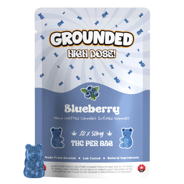 Grounded High Dose Bears (500mg) — Blueberry