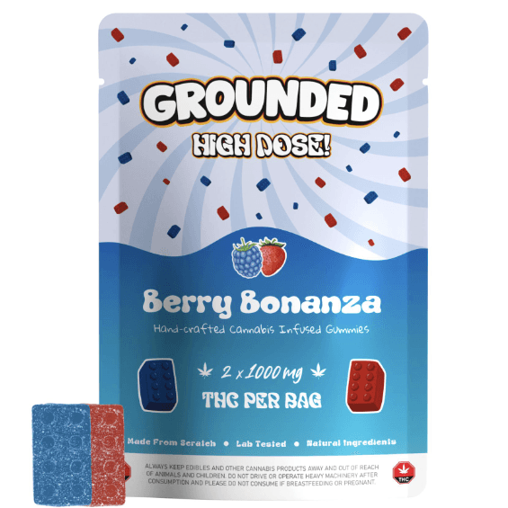 Grounded High Dose Bricks (2000mg) — Berry Bonanza